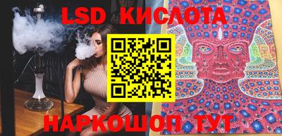 шишки Кингисепп