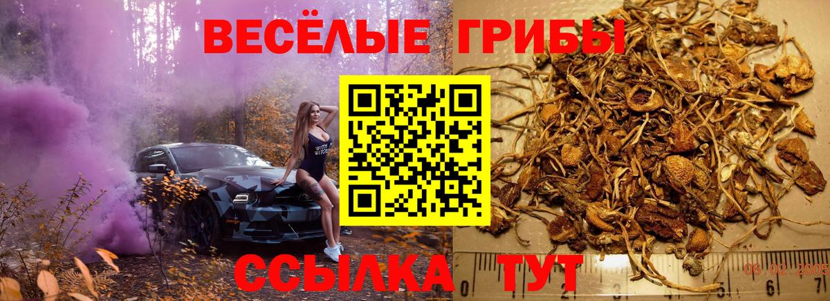 Псилоцибиновые грибы ЛСД Элиста