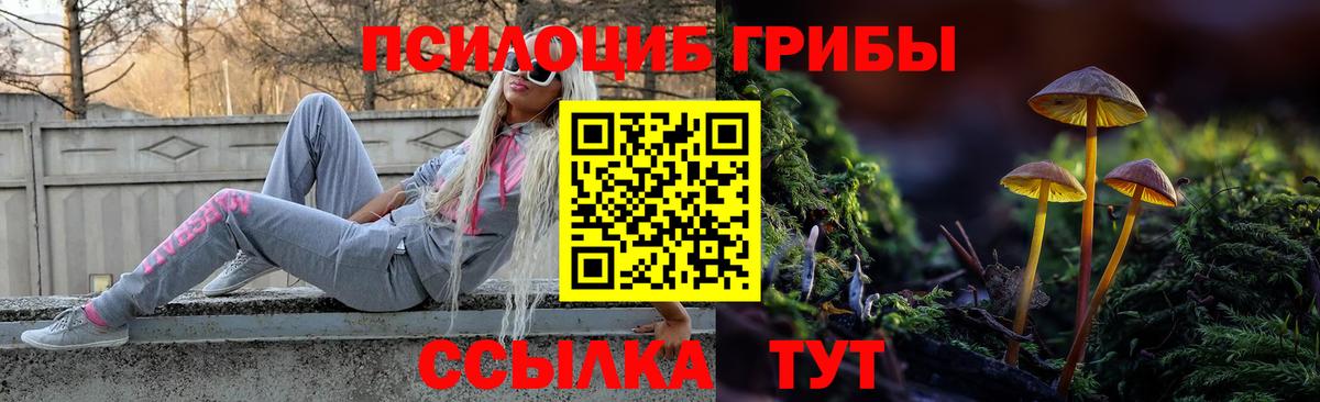 Псилоцибиновые грибы GOLDEN TEACHER  где купить   Элиста  Вход с VPN 